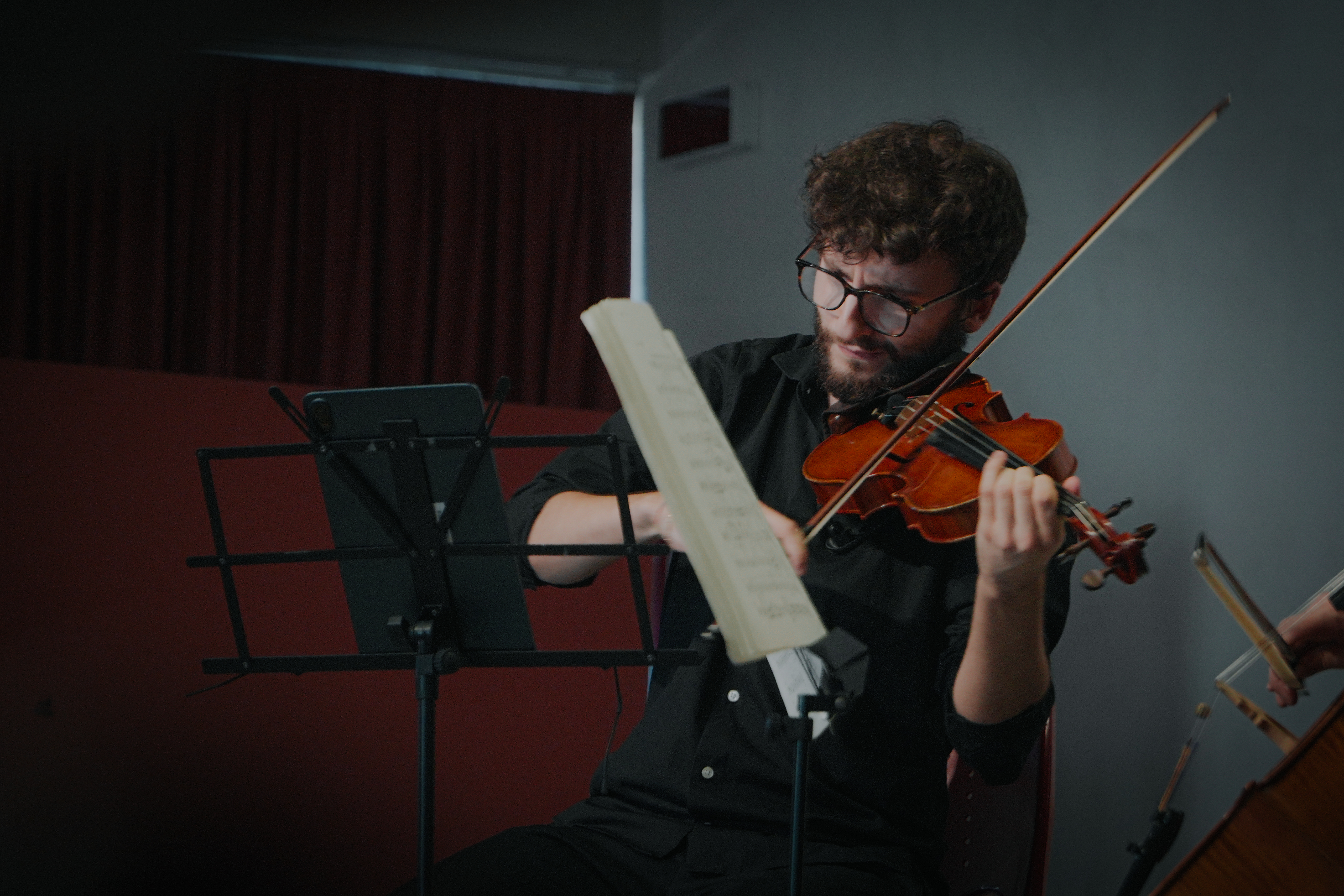 Trio Hieracon - gallery 3